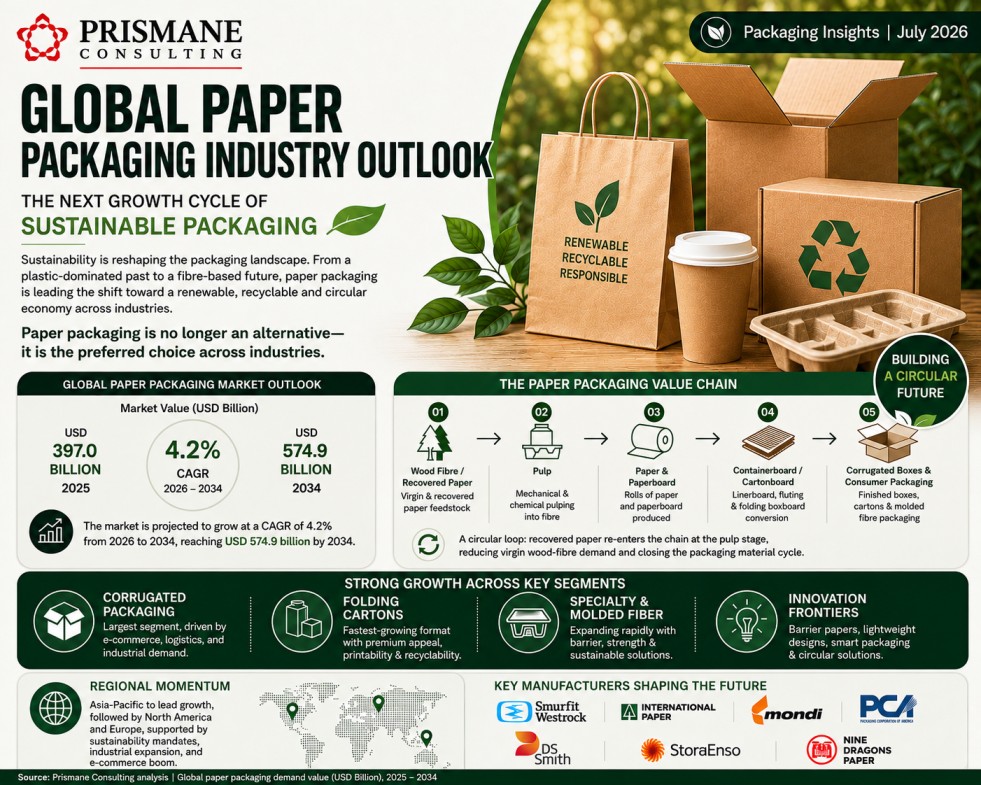 Global Paper Packaging Industry Outlook: Where the Next Growth Cycle Comes From